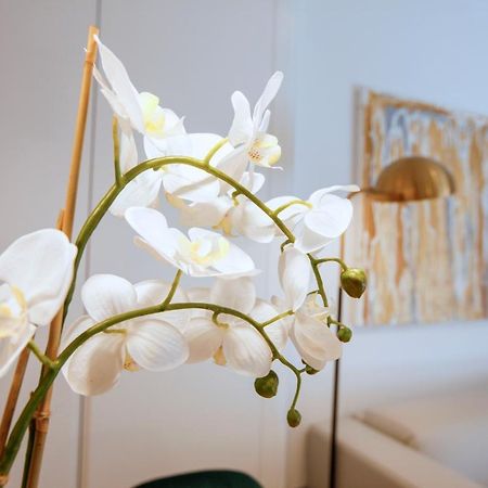 Tirso Suite 马德里 外观 照片
