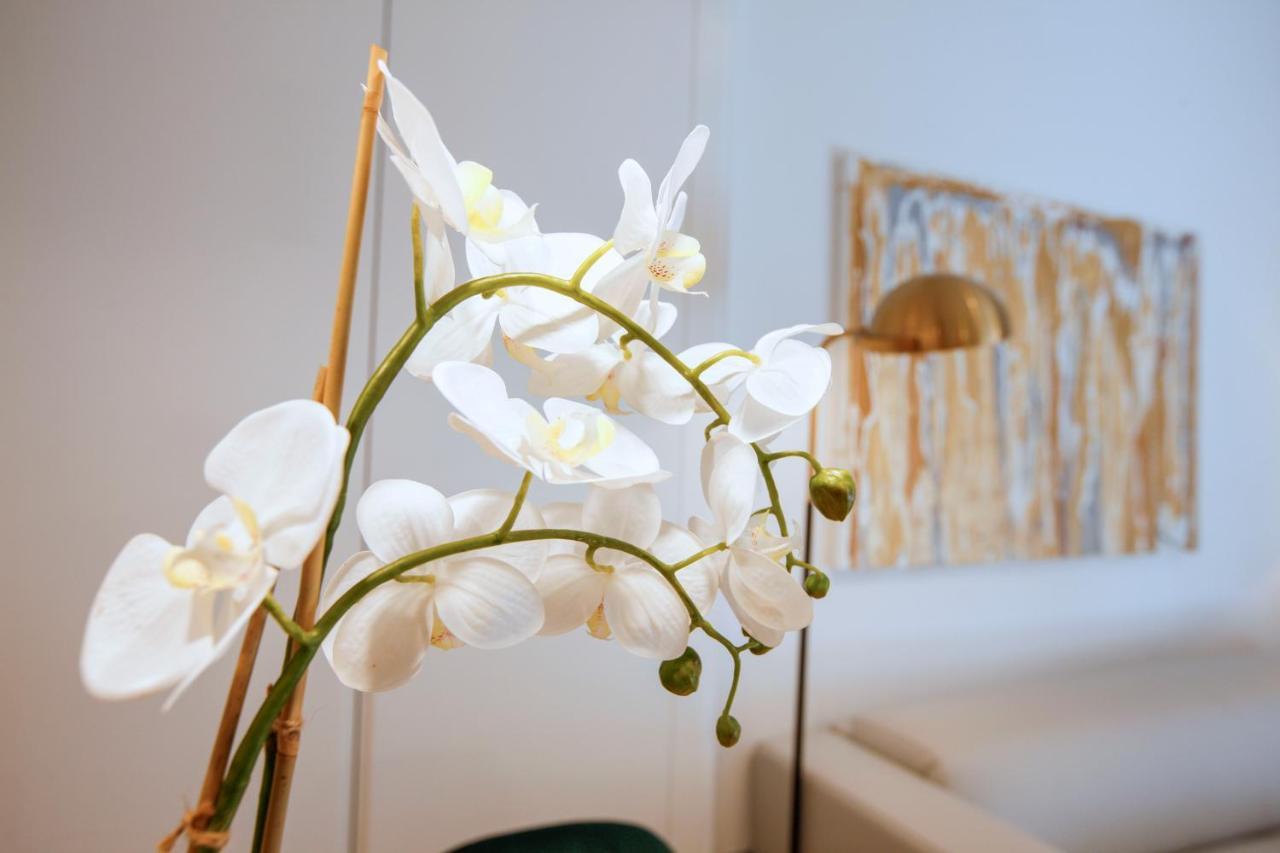 Tirso Suite 马德里 外观 照片